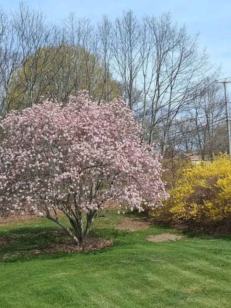 61 Goodwin Road Eliot ME 03903