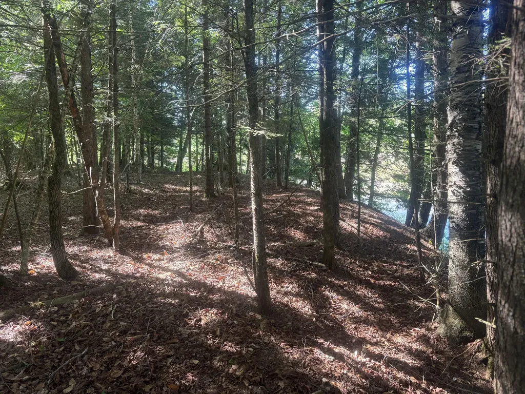 56 Streamview Drive Harmony ME 04942