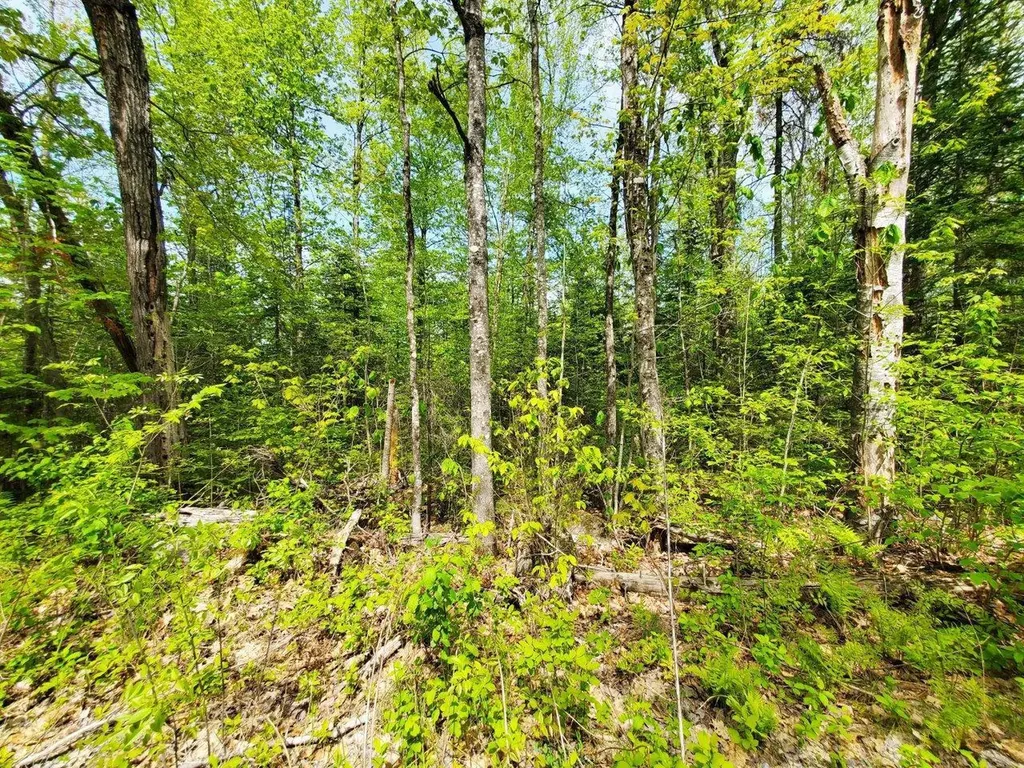 Lot 3 Maple Road Atkinson ME 04426