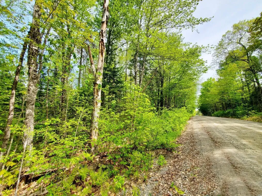 Lot 3 Maple Road Atkinson ME 04426