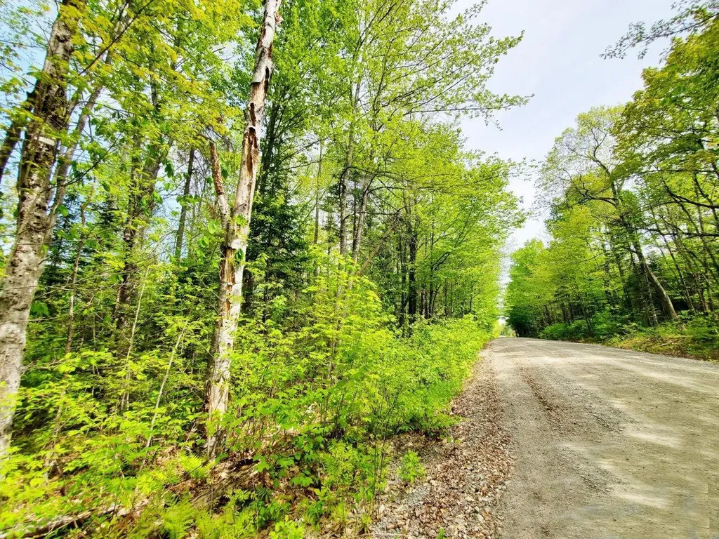 Lot 3 Maple Road Atkinson ME 04426