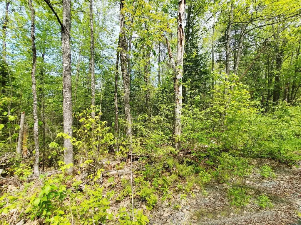 Lot 3 Maple Road Atkinson ME 04426