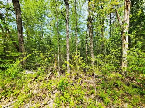 Lot 3 Maple Road Atkinson ME 04426