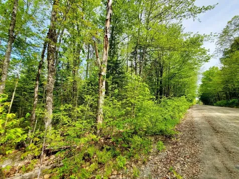 Lot 3 Maple Road Atkinson ME 04426