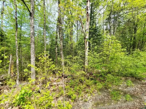 Lot 3 Maple Road Atkinson ME 04426