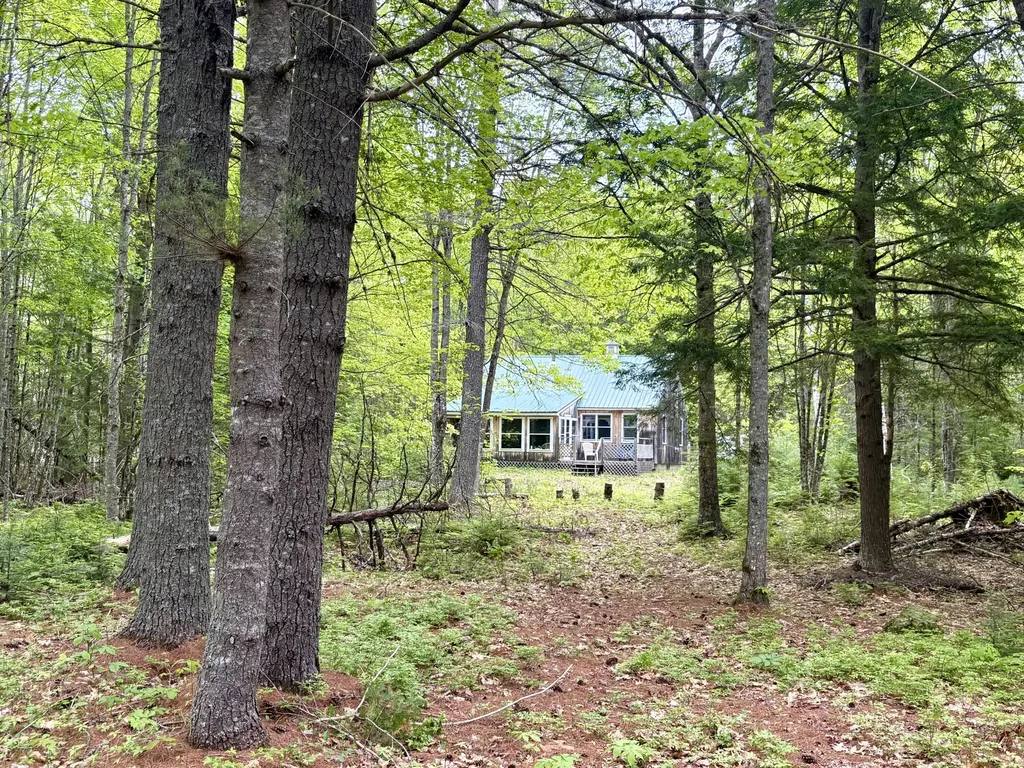 MAP03LOT01 White Birch Lane Passadumkeag ME 04475