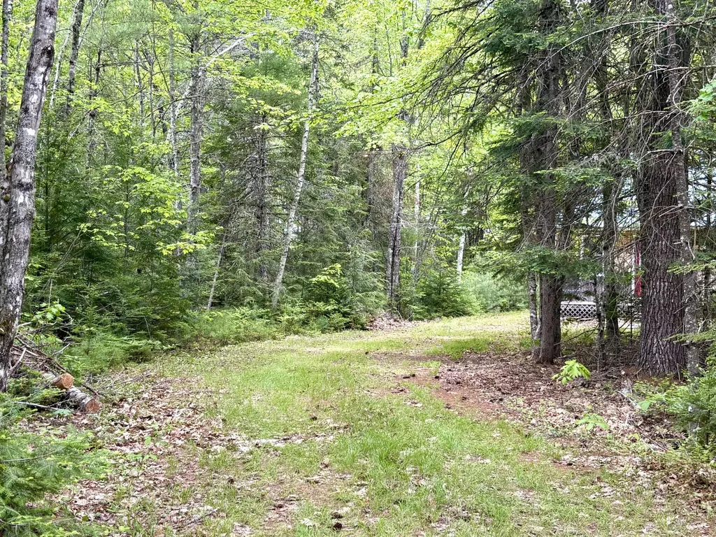 MAP03LOT01 White Birch Lane Passadumkeag ME 04475