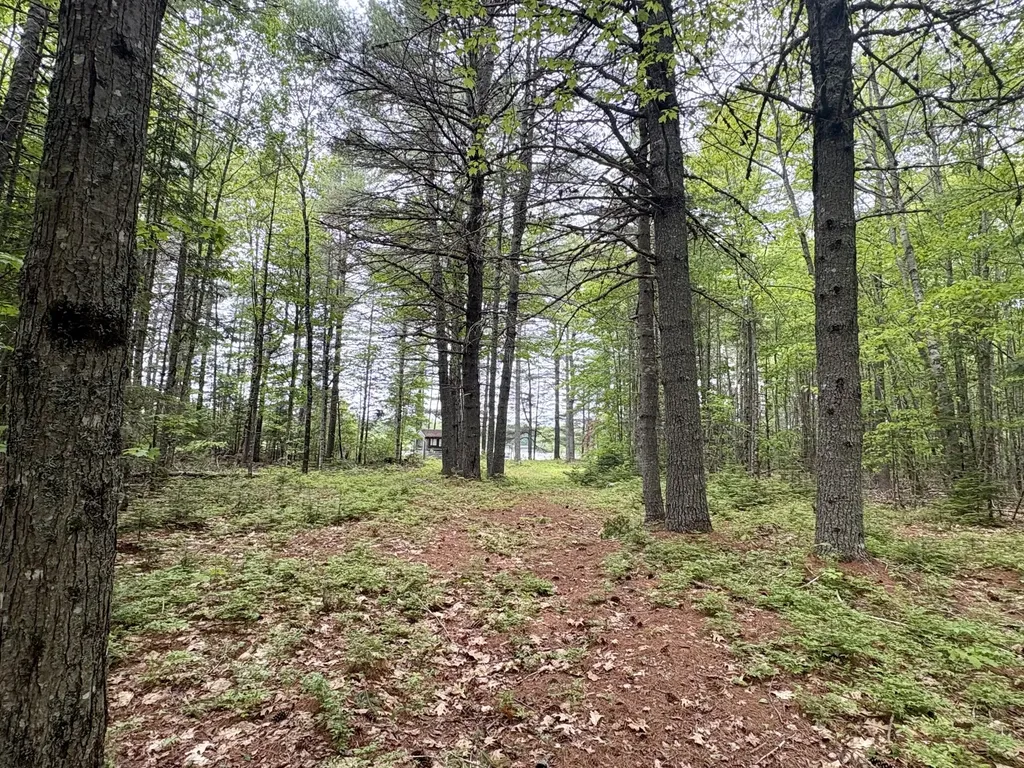 MAP03LOT01 White Birch Lane Passadumkeag ME 04475
