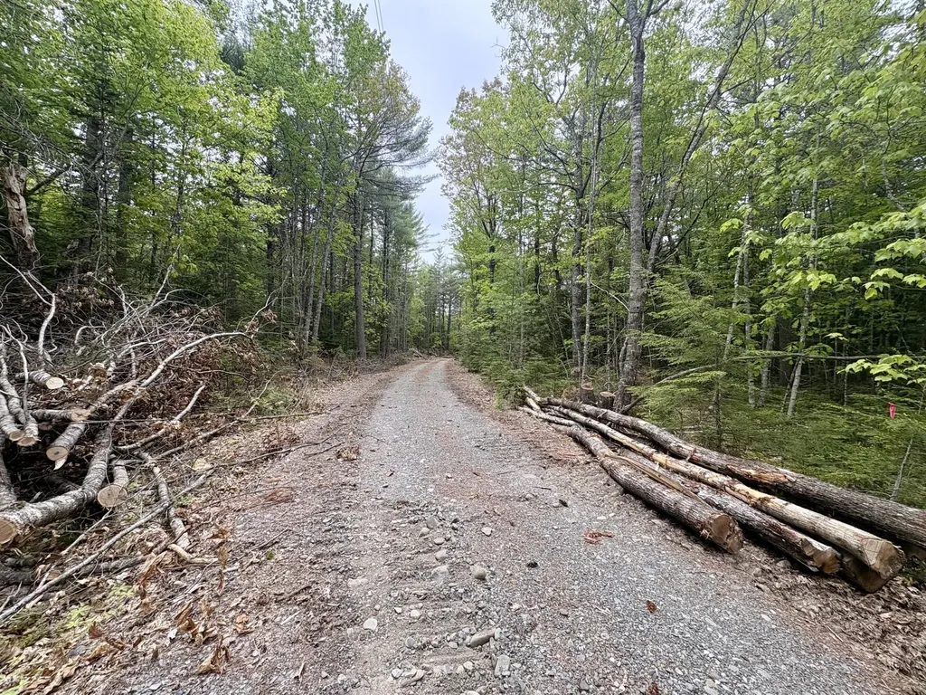 MAP03LOT01 White Birch Lane Passadumkeag ME 04475