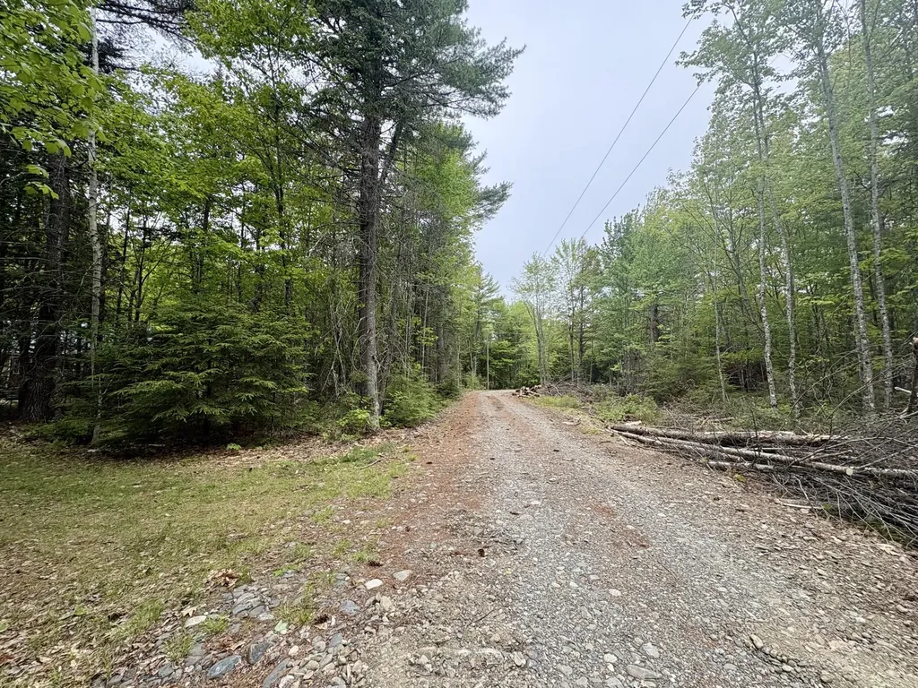 MAP03LOT01 White Birch Lane Passadumkeag ME 04475
