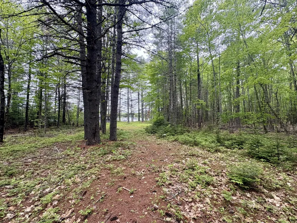 MAP03LOT01 White Birch Lane Passadumkeag ME 04475
