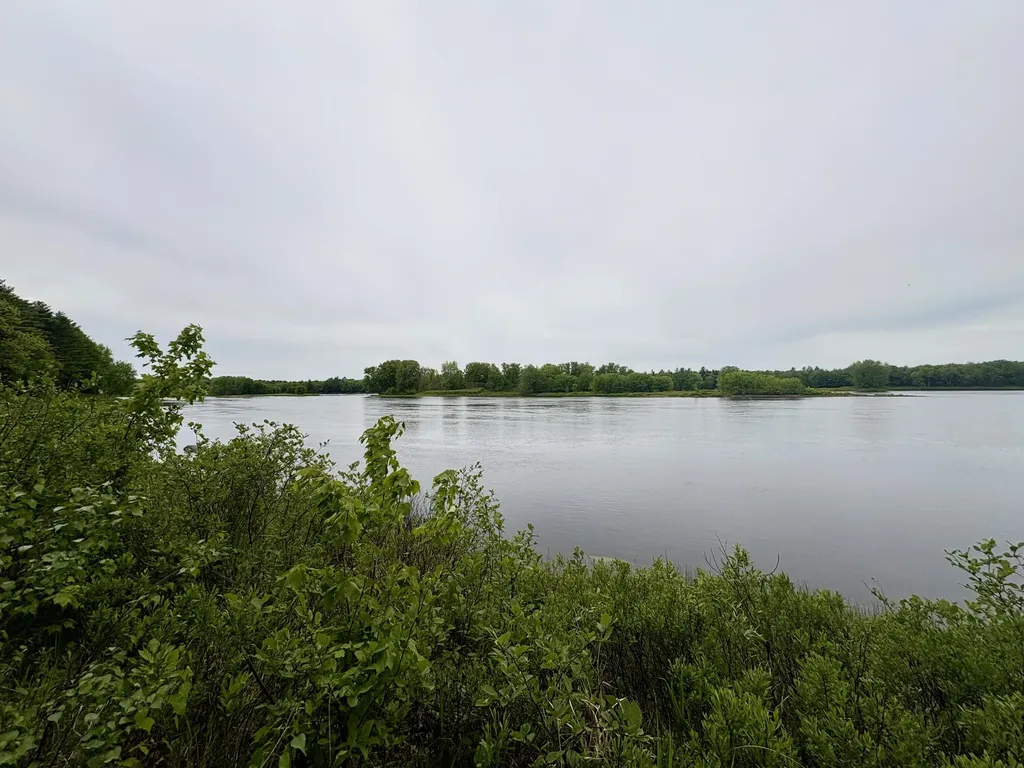 MAP03LOT01 White Birch Lane Passadumkeag ME 04475