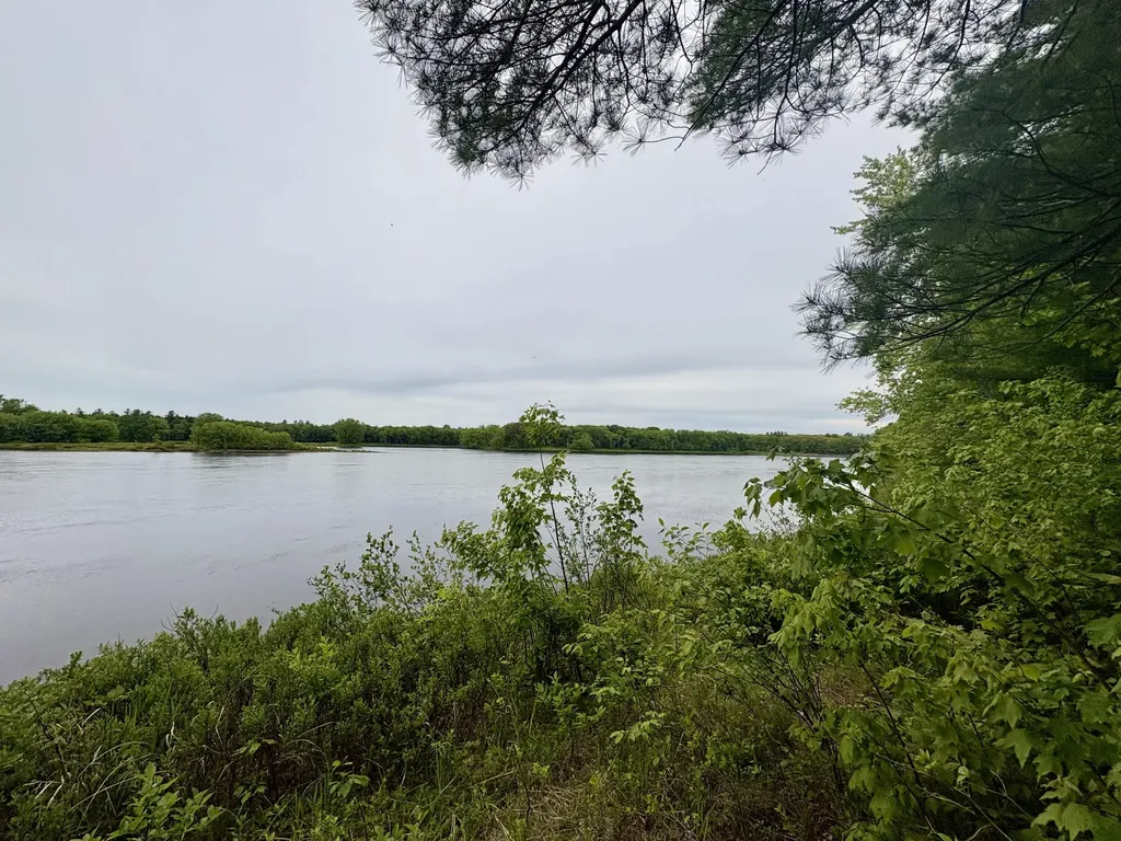 MAP03LOT01 White Birch Lane Passadumkeag ME 04475