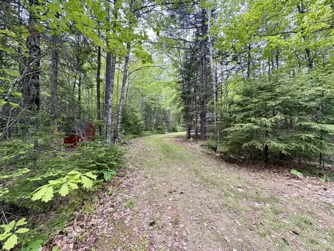 MAP03LOT01 White Birch Lane Passadumkeag ME 04475