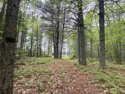 MAP03LOT01 White Birch Lane Passadumkeag ME 04475