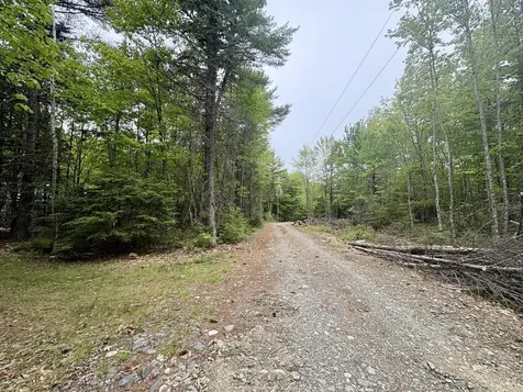 MAP03LOT01 White Birch Lane Passadumkeag ME 04475