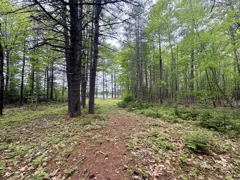 MAP03LOT01 White Birch Lane Passadumkeag ME 04475