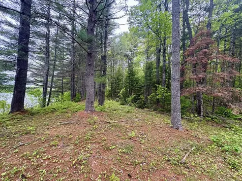 MAP03LOT01 White Birch Lane Passadumkeag ME 04475