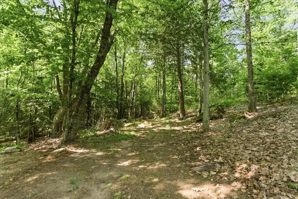 123 Dutton Hill Gray ME 04039