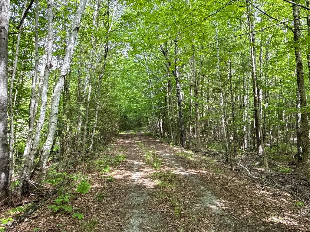 11 Bartlett Road Springfield ME 04487