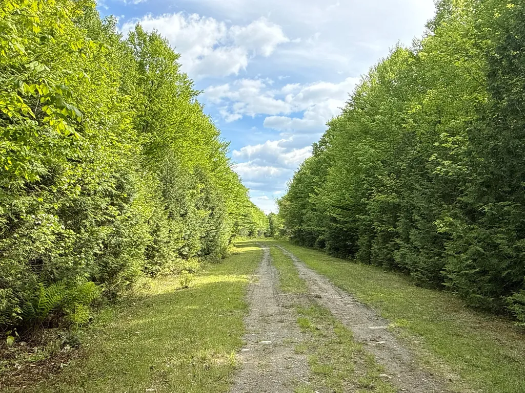 11 Bartlett Road Springfield ME 04487