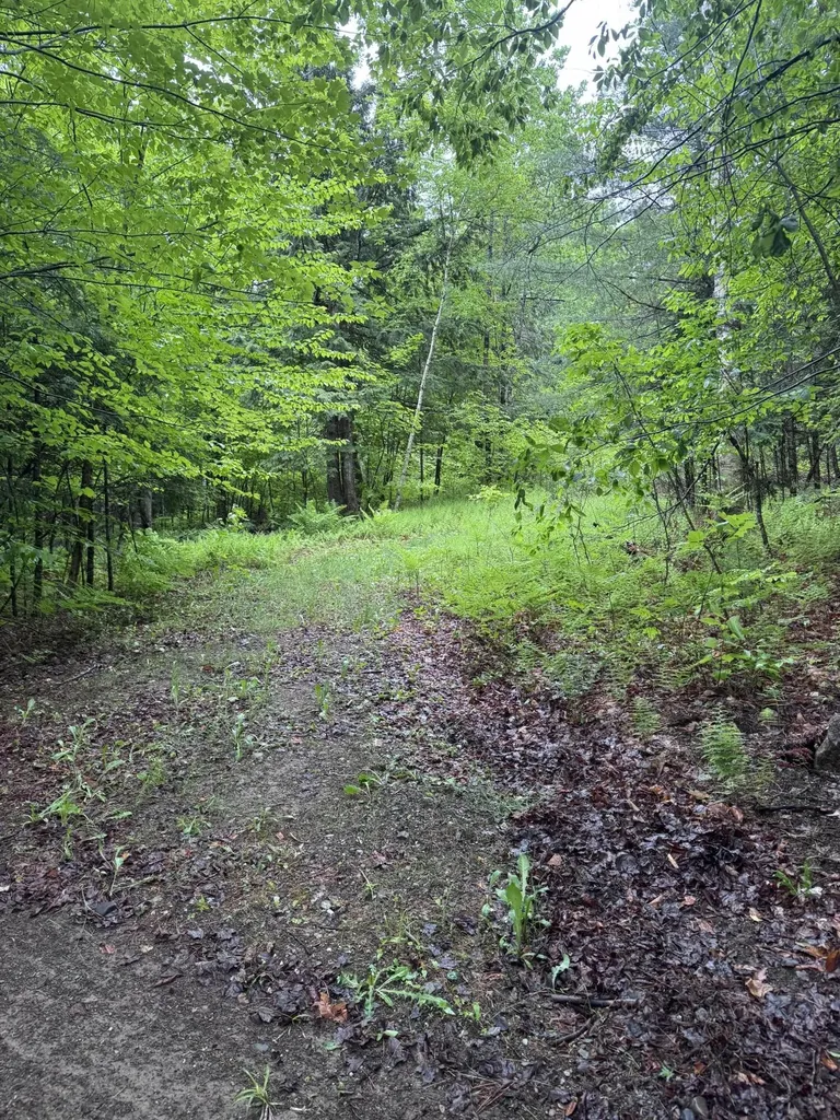 0 Melody Lane Bradford ME 04410