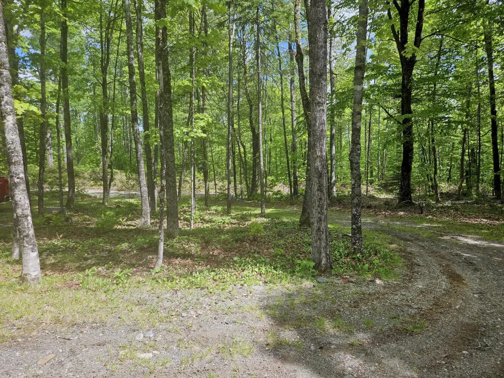 284 Frank Savage Road Bingham ME 04920
