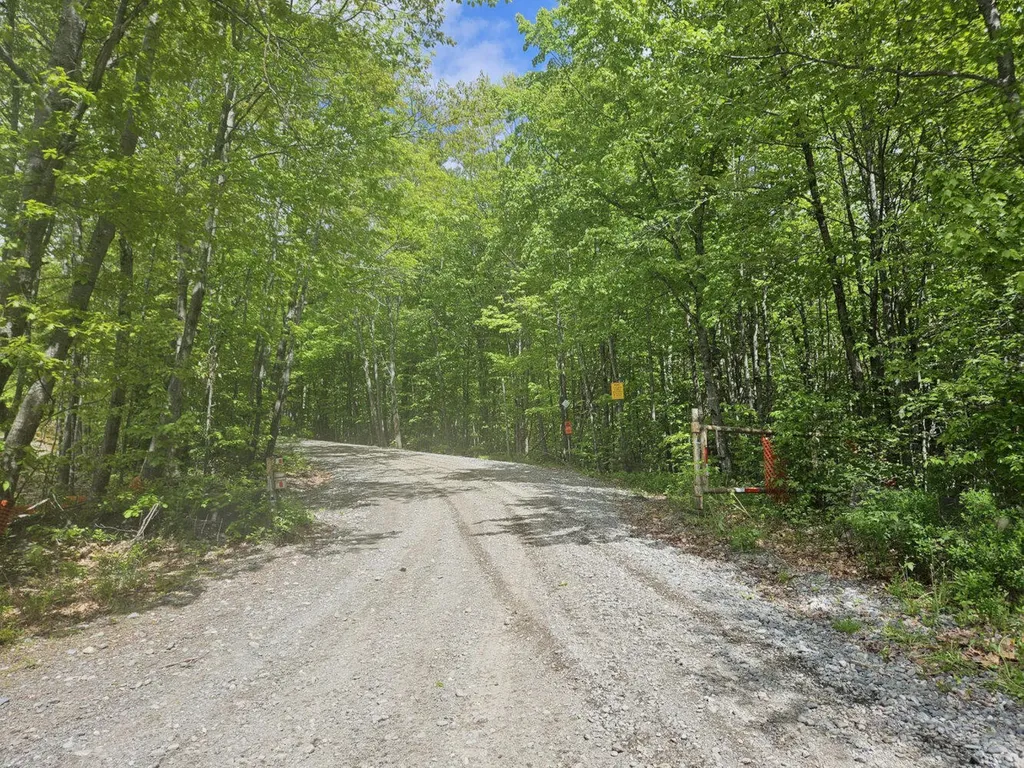 284 Frank Savage Road Bingham ME 04920