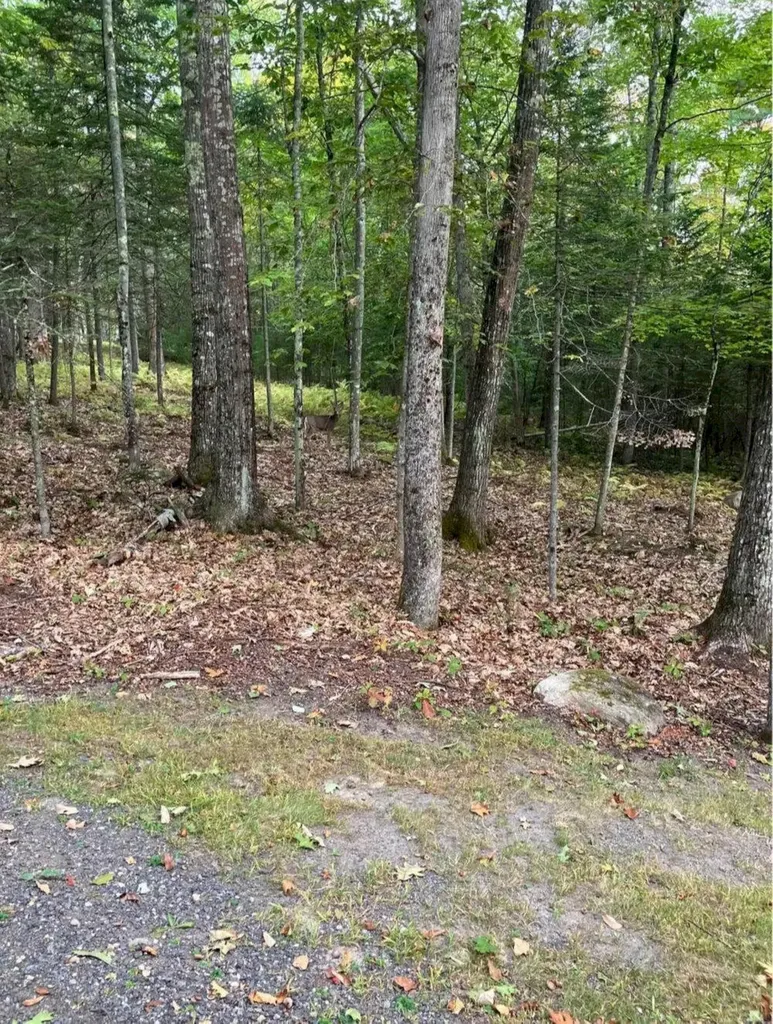 284 Frank Savage Road Bingham ME 04920