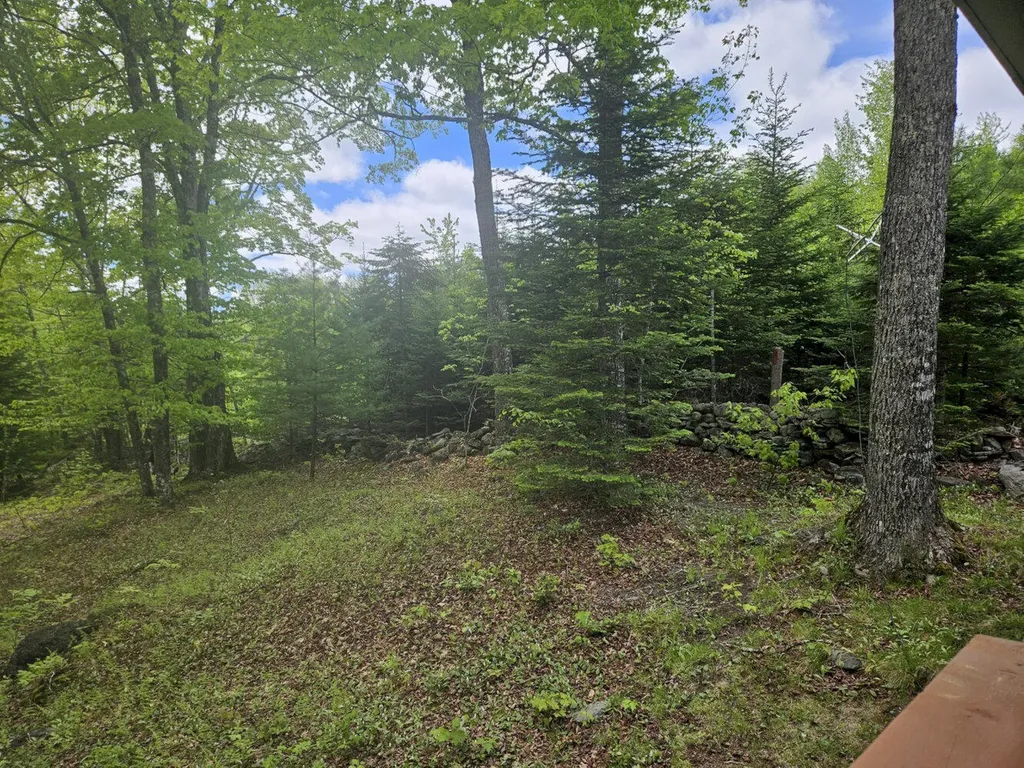 284 Frank Savage Road Bingham ME 04920