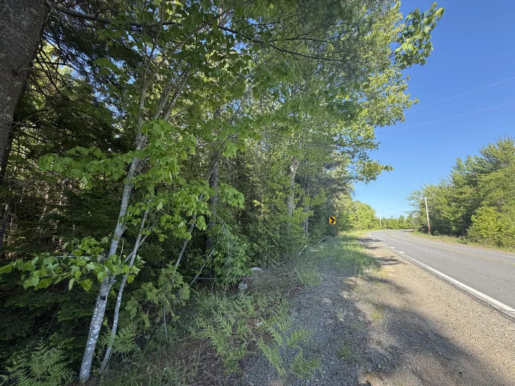 Lot A,c,&d Vanceboro Road Vanceboro ME 04619