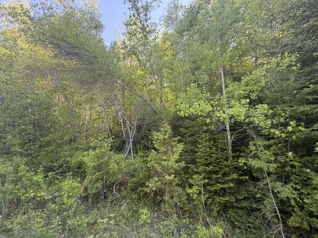 Lot A,c,&d Vanceboro Road Vanceboro ME 04619