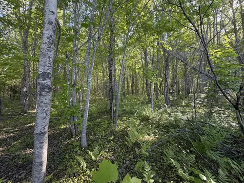 Lot A,c,&d Vanceboro Road Vanceboro ME 04619