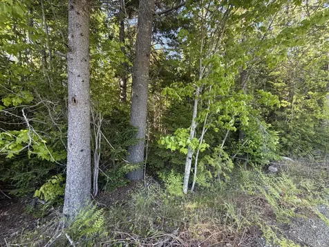 Lot A,c,&d Vanceboro Road Vanceboro ME 04619
