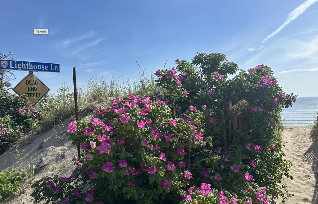 10 Lighthouse Lane Saco ME 04072