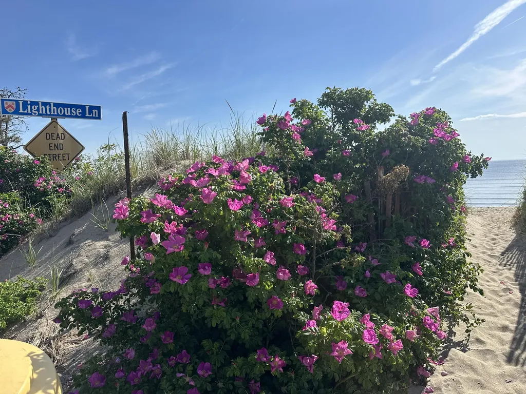 10 Lighthouse Lane Saco ME 04072