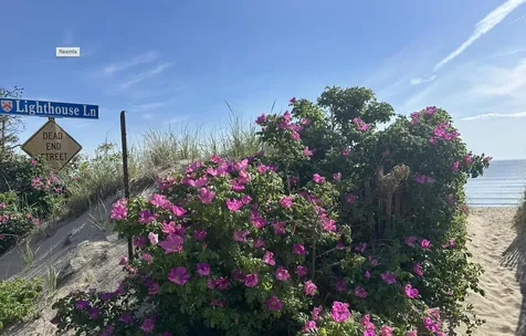 10 Lighthouse Lane Saco ME 04072