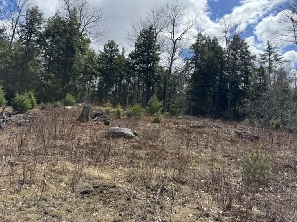 0 Tavern Hill Windham ME 04062