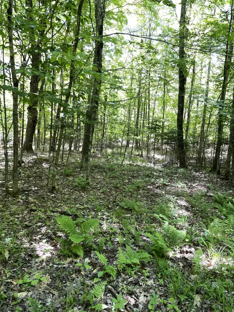 117 Brown Road Harmony ME 04942
