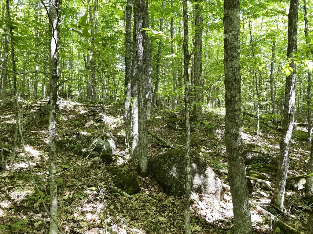 117 Brown Road Harmony ME 04942