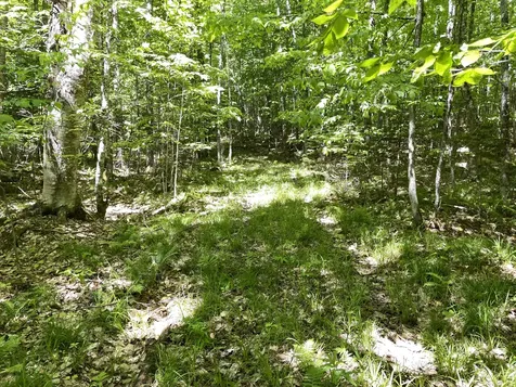 117 Brown Road Harmony ME 04942