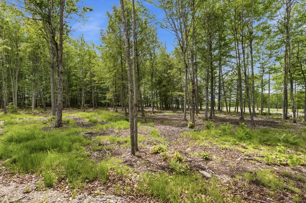 0 Buzzell Road Acton ME 04001