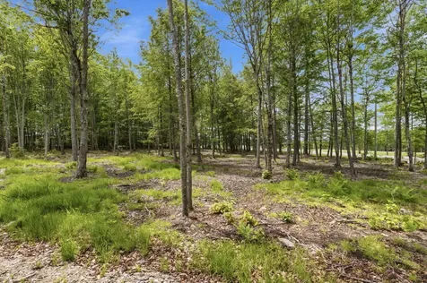 0 Buzzell Road Acton ME 04001