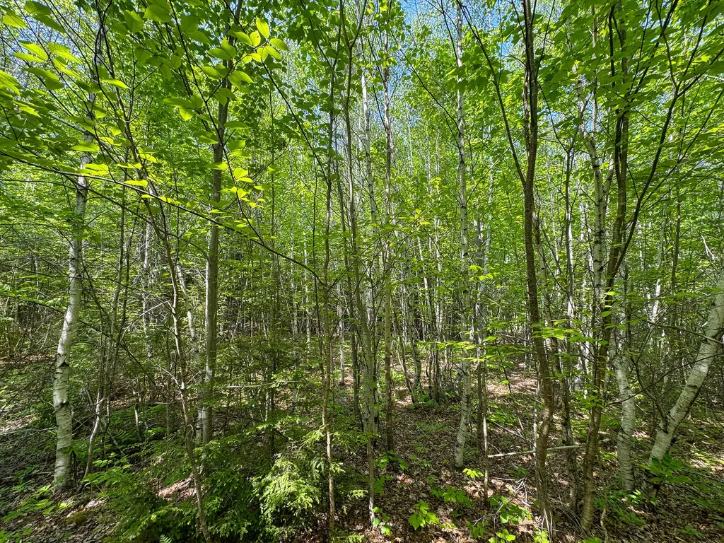 M1 L2 Off Bunker Hill Road Maxfield ME 04448