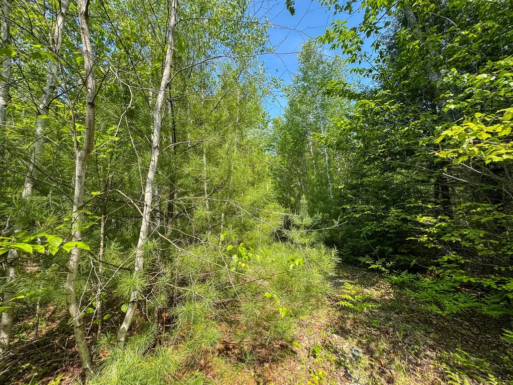 M1 L2 Off Bunker Hill Road Maxfield ME 04448