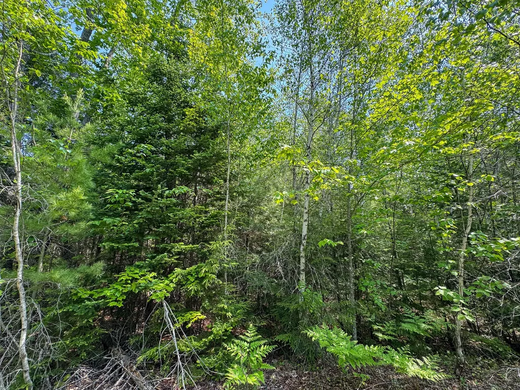 M1 L2 Off Bunker Hill Road Maxfield ME 04448
