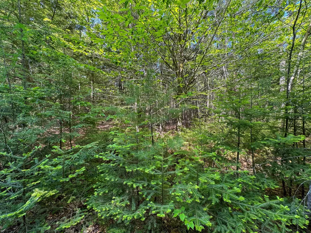 M1 L2 Off Bunker Hill Road Maxfield ME 04448