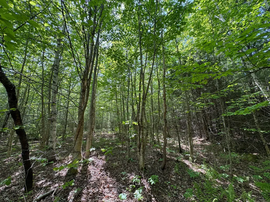 M1 L2 Off Bunker Hill Road Maxfield ME 04448