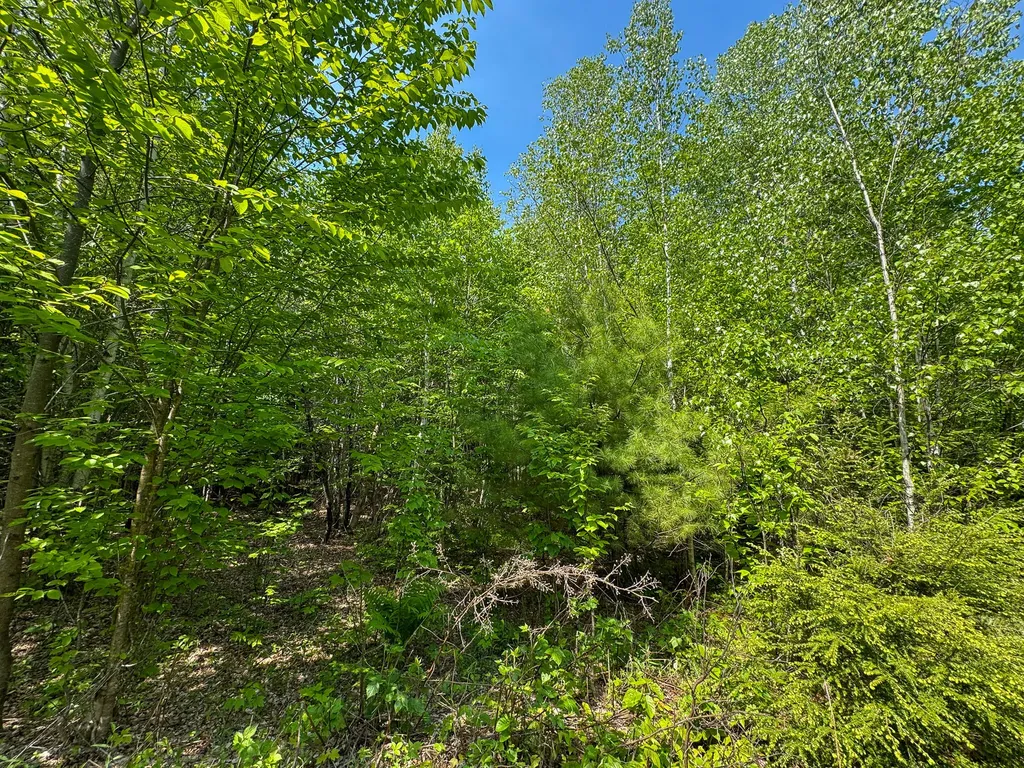 M1 L2 Off Bunker Hill Road Maxfield ME 04448