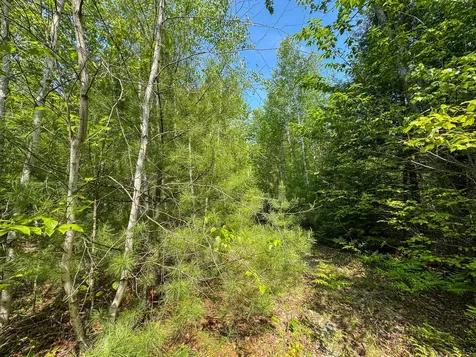 M1 L2 Off Bunker Hill Road Maxfield ME 04448